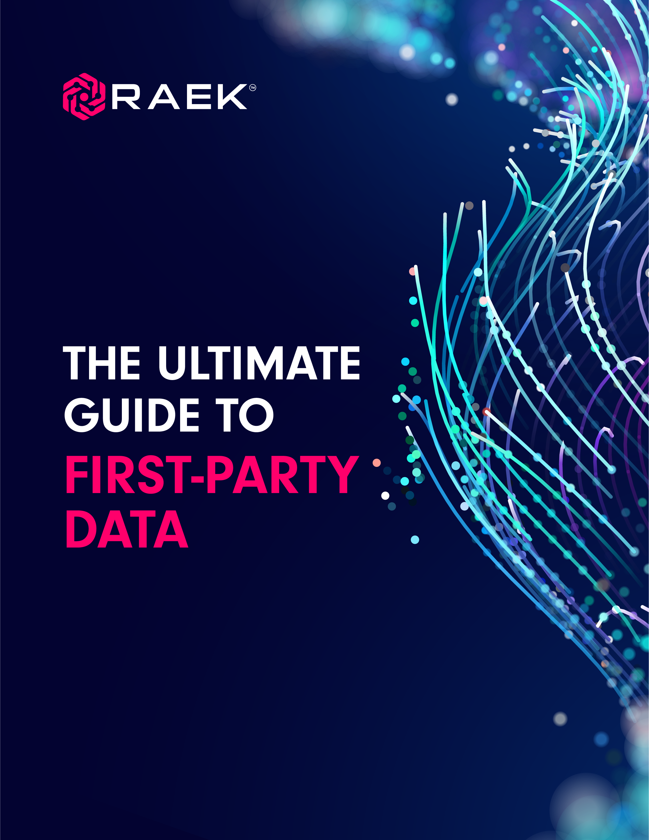 The Ultimate Guide to First Party Data Ebook Cover Image