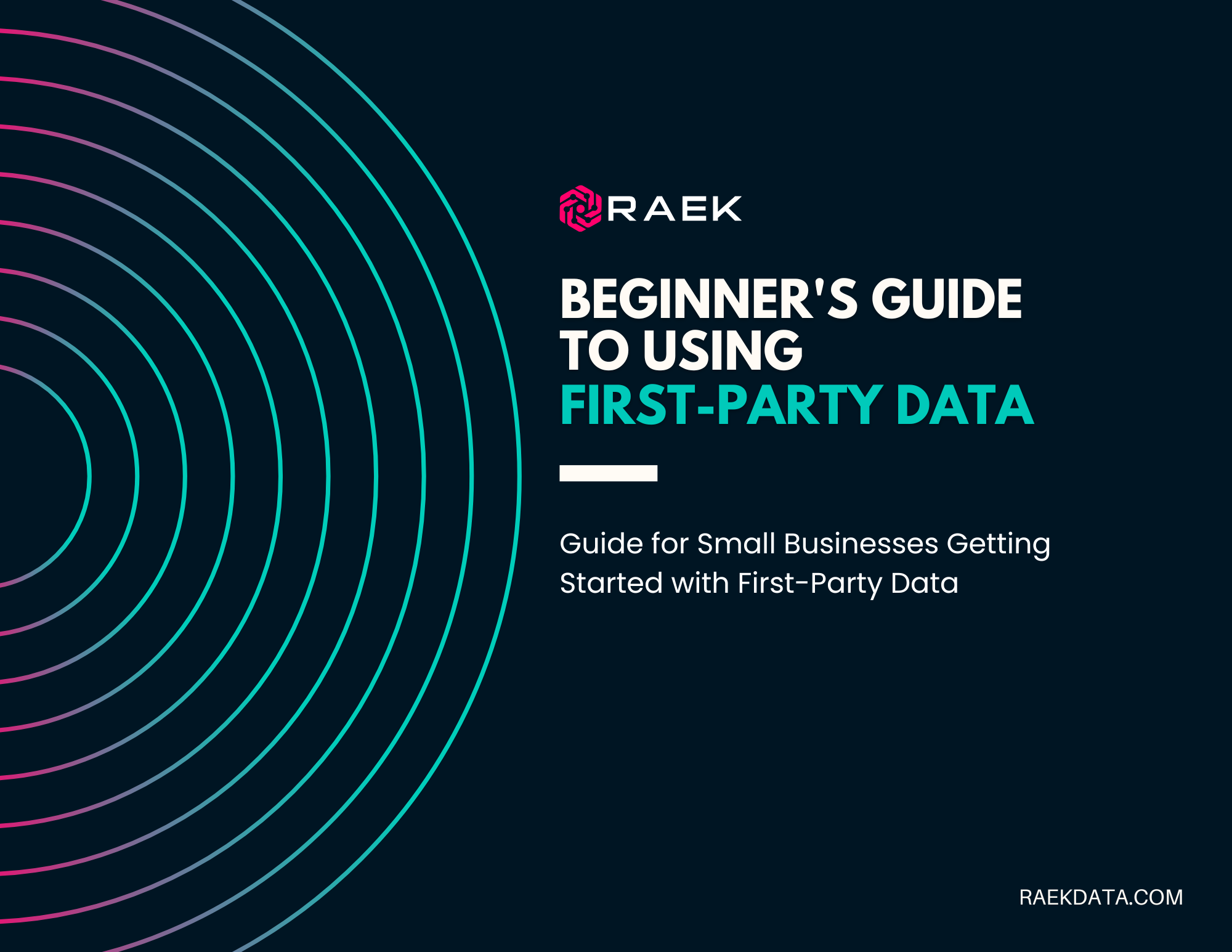 Beginner's Guide to Using First-Party Data